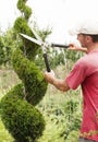 Pruning Plants Close Up. Royalty Free Stock Photo