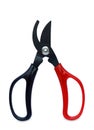 Pruning scissors, gardening scissor isolated on white background Royalty Free Stock Photo