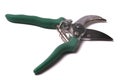 Pruning Shears