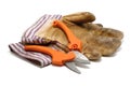 Pruning Shears and Leather Gloves Royalty Free Stock Photo