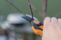 pruning with pruning shears in spring. Gardener pruns the fruit trees by pruner shears. Farmer hand with garden secateurs on Royalty Free Stock Photo