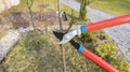 Pruning the side shoot of a columnar apple tree. Seasonal spring pruning of the orchard with bright garden scissors according to Royalty Free Stock Photo