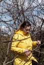 Pruning tree branches in the garden in spring, A woman cuts unnecessary branches from a fruit tree. Royalty Free Stock Photo