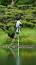 Pruning tree in Ritsurin Koen Garden Takamatsu Japan Royalty Free Stock Photo