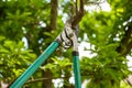 Pruning tree with secateurs outdoors. Gardening tool Royalty Free Stock Photo