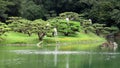 Pruning trees in Ritsurin Koen Garden Takamatsu Japan Royalty Free Stock Photo