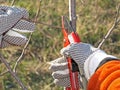 Pruning young fruit tree Royalty Free Stock Photo