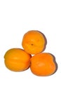 Prunus armeniaca, commonly called apricot, apricot, amasco, albergero or apricot is a fruit tree native to China, Turkey, Iran, Royalty Free Stock Photo