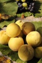 Autumn fruits on wooden table, fragrant yellow peaches, grapes, leaves Royalty Free Stock Photo