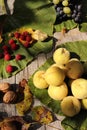 Autumn fruits on wooden table, fragrant yellow peaches, yellow - green leaves, raspberries, grapes Royalty Free Stock Photo