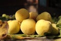 Autumn fruits on wooden table, fragrant yellow peaches and green - yellow leaves Royalty Free Stock Photo