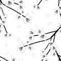 Prunus persica Outline - Peach Flower Blossom on White Background. Vector Illustration