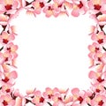 Prunus persica - Peach Flower Blossom Border isolated on white Background. Vector Illustration Royalty Free Stock Photo