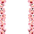 Prunus persica - Peach Flower Blossom Border isolated on white Background. Vector Illustration Royalty Free Stock Photo