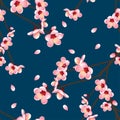 Prunus persica - Peach Flower Blossom on Indigo Blue Background. Vector Illustration.