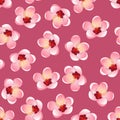 Prunus persica - Peach Flower Blossom on Pink Background. Vector Illustration.