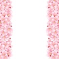 Prunus serrulata Border - Cherry blossom, Sakura. National Flower of Japan. Vector Illustration. isolated on white Background.