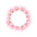 Prunus serrulata - Cherry blossom, Sakura Banner Wreath isolated on White Background. Vector Illustration