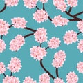 Prunus serrulata Outline - Cherry blossom, Sakura on Blue Background. Vector Illustration