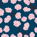 Prunus serrulata Outline - Cherry blossom, Sakura on Indigo Blue Background. Vector Illustration