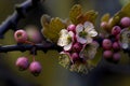 Prunus triloba, a beautiful flowering spring plant. Ai generative