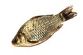 Prussian carp, Silver, Gibel Royalty Free Stock Photo