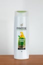 Hair shampoo Pantene Nature fusion Pro-V Strength & Shine