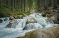 Prut river springs from Hoverla Peak, National Park, Ukraine. Fast water stream flowing down from mountains, through the Royalty Free Stock Photo