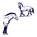 Przewalski horse pattern blue handle