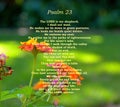 Psalm 23 Verse With Pretty Lantana flowers In Background Royalty Free Stock Photo