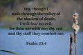 Psalm Psalm 23:4 Bible Verse