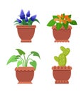 Pseuderanthemum Muscari Set Vector Illustration Royalty Free Stock Photo
