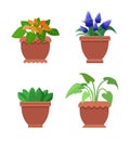 Pseuderanthemum and Muscari Vector Illustration Royalty Free Stock Photo