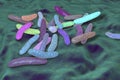 Pseudoalteromonas tetraodonis bacteria, 3D illustration. Marine bacteria living in surface slime of the puffer fish and secreting