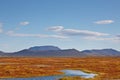 Pseudocraters in Skutustadir, Iceland