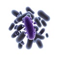 pseudomonas aeruginosa bacteria rod-shaped purple bacteria. Pathogenic microflora biologically isolated on white background,