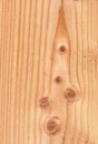 Pseudotsuga wood texture
