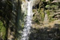 Pshad Waterfalls. A lot of vegetation in the image