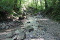 Pshad Waterfalls. A lot of vegetation in the image