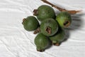 Psidium guajava, the common guava, yellow guava, lemon guava on whiate background