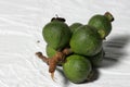 Psidium guajava, the common guava, yellow guava, lemon guava on whiate background