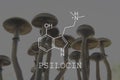 Psilocin psychedelic formula. Psychoactive natural drug. Recreational use of psilocybin mushrooms