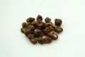 Psilocybin truffles for microdosing
