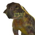 Psittacosaurus Dinosaur Head Royalty Free Stock Photo