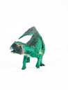 Psittacosaurus Dinosaur on white background Royalty Free Stock Photo