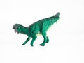 Psittacosaurus Dinosaur on white background Royalty Free Stock Photo
