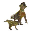 Psittacosaurus Dinosaurs on White