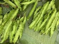 Psophocarpus tetragonolobus, Winged Bean on banana leaves