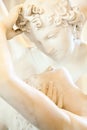 Psyche revived by Cupid kiss