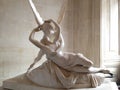 Psyche Revived by Cupid& x27;s kiss